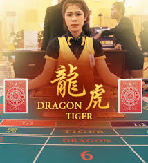 live casino dragon tiger